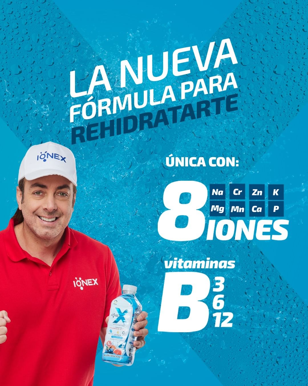 6 botellas de IONEX (330 ml)